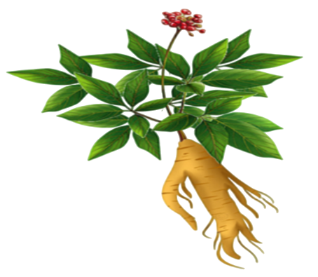 7-2-Photoroom-1-Copy.png