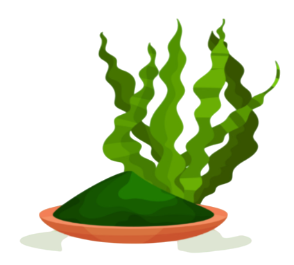 7-3-Photoroom-1-Copy.png